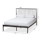 Sabine Modern and Contemporary Antique Bronze Metal Queen Size Platform Bed FredCo