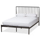Sabine Modern and Contemporary Antique Bronze Metal Queen Size Platform Bed FredCo