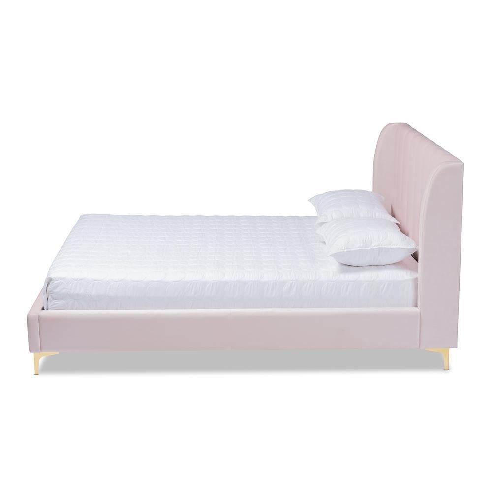 Saverio Glam and Luxe Light Pink Velvet Fabric Upholstered Queen Size Platform Bed with Gold-Tone Legs FredCo