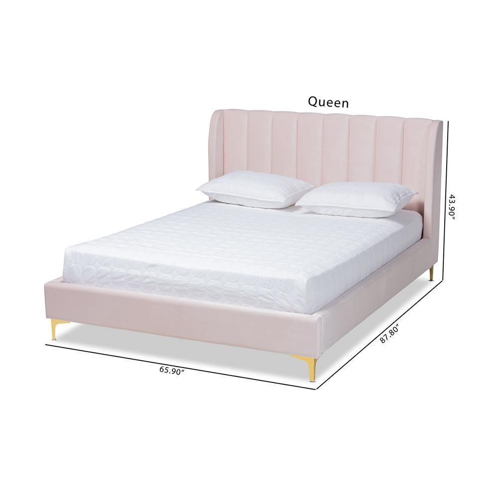 Saverio Glam and Luxe Light Pink Velvet Fabric Upholstered Queen Size Platform Bed with Gold-Tone Legs FredCo