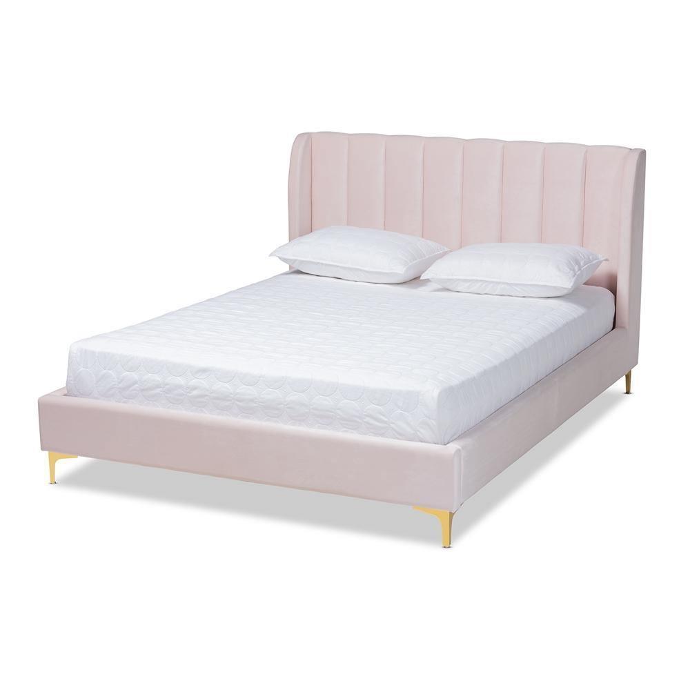 Saverio Glam and Luxe Light Pink Velvet Fabric Upholstered Queen Size Platform Bed with Gold-Tone Legs FredCo