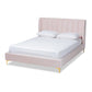 Saverio Glam and Luxe Light Pink Velvet Fabric Upholstered Queen Size Platform Bed with Gold-Tone Legs FredCo
