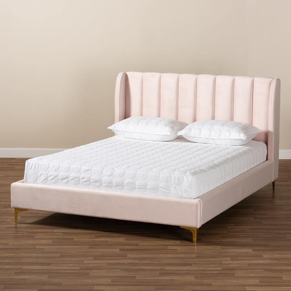 Saverio Glam and Luxe Light Pink Velvet Fabric Upholstered Queen Size Platform Bed with Gold-Tone Legs FredCo