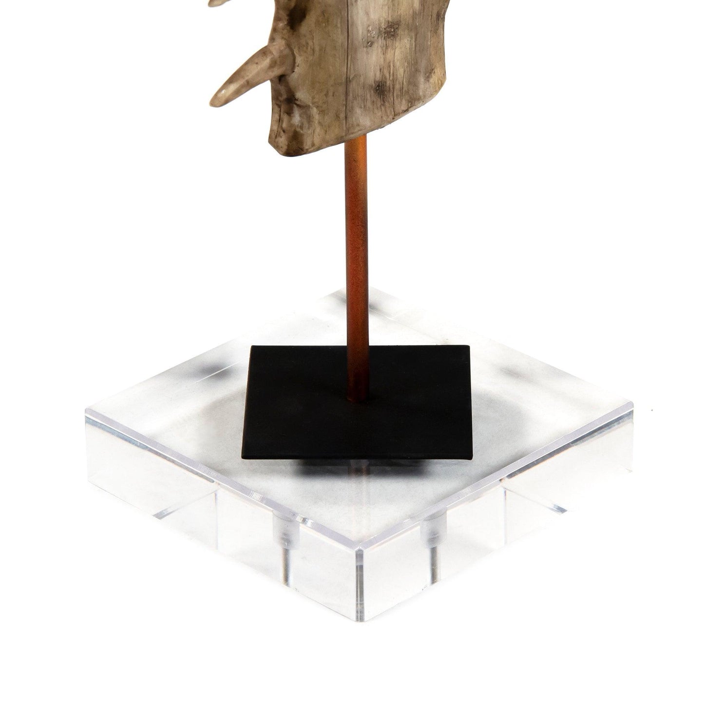 Sawtooth on Acrylic Stand SHI050 FredCo