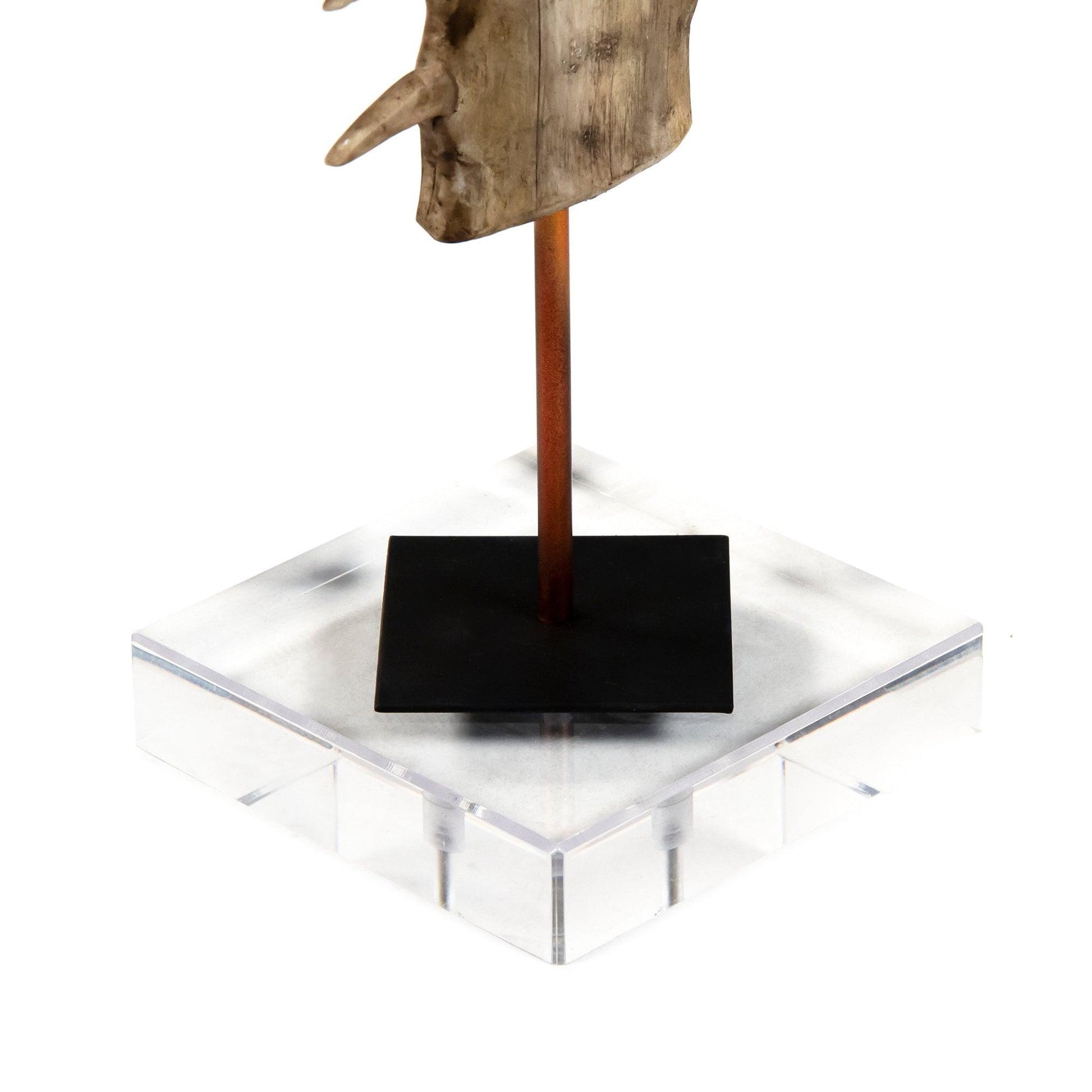 Sawtooth on Acrylic Stand SHI050 FredCo