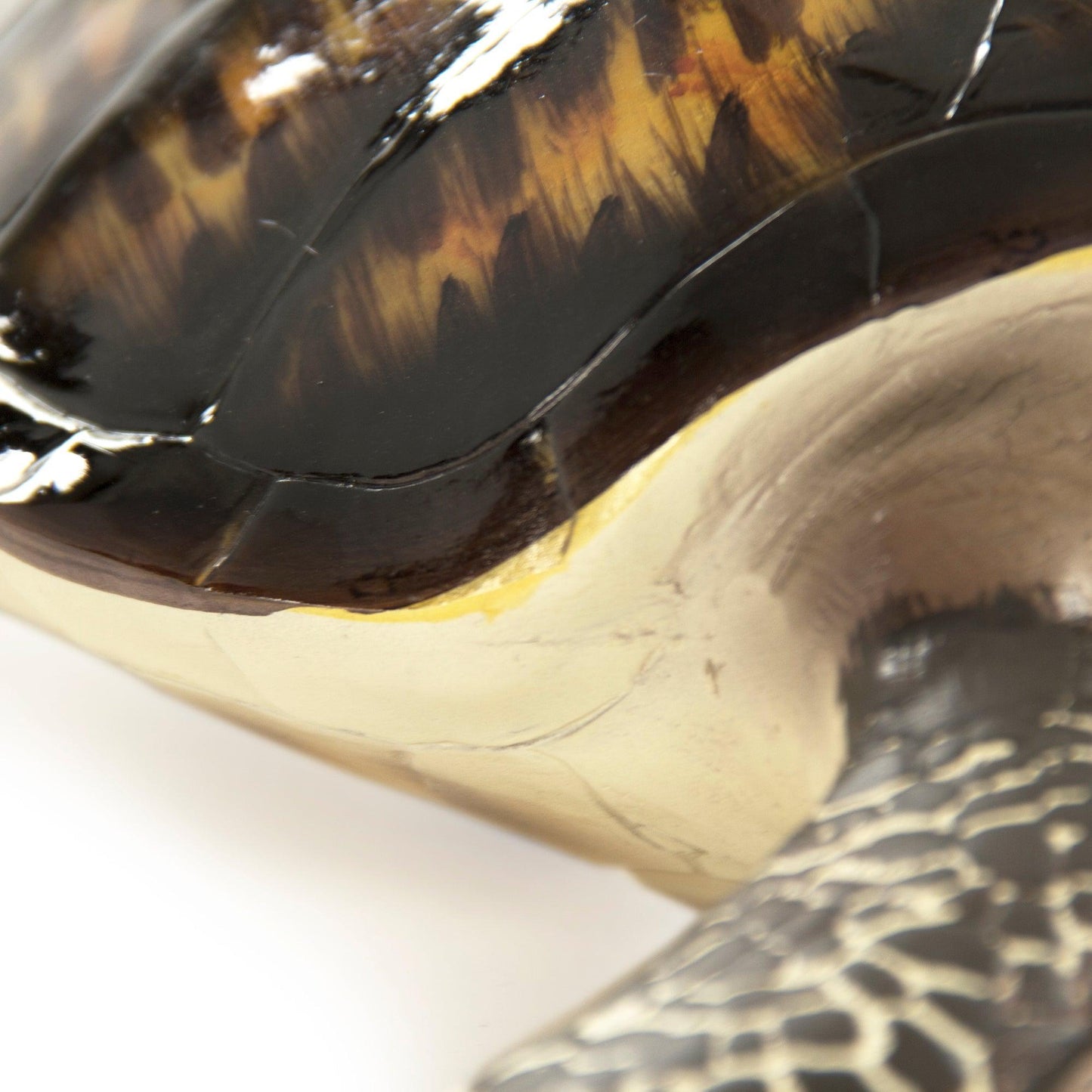 Sea Turtle Sculpture (L) SHI043 FredCo