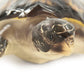 Sea Turtle Sculpture (L) SHI043 FredCo