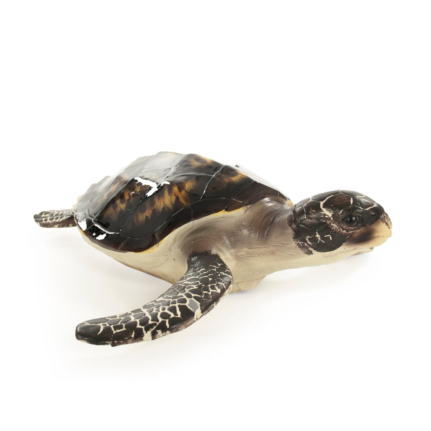 Sea Turtle Sculpture (L) SHI043 FredCo