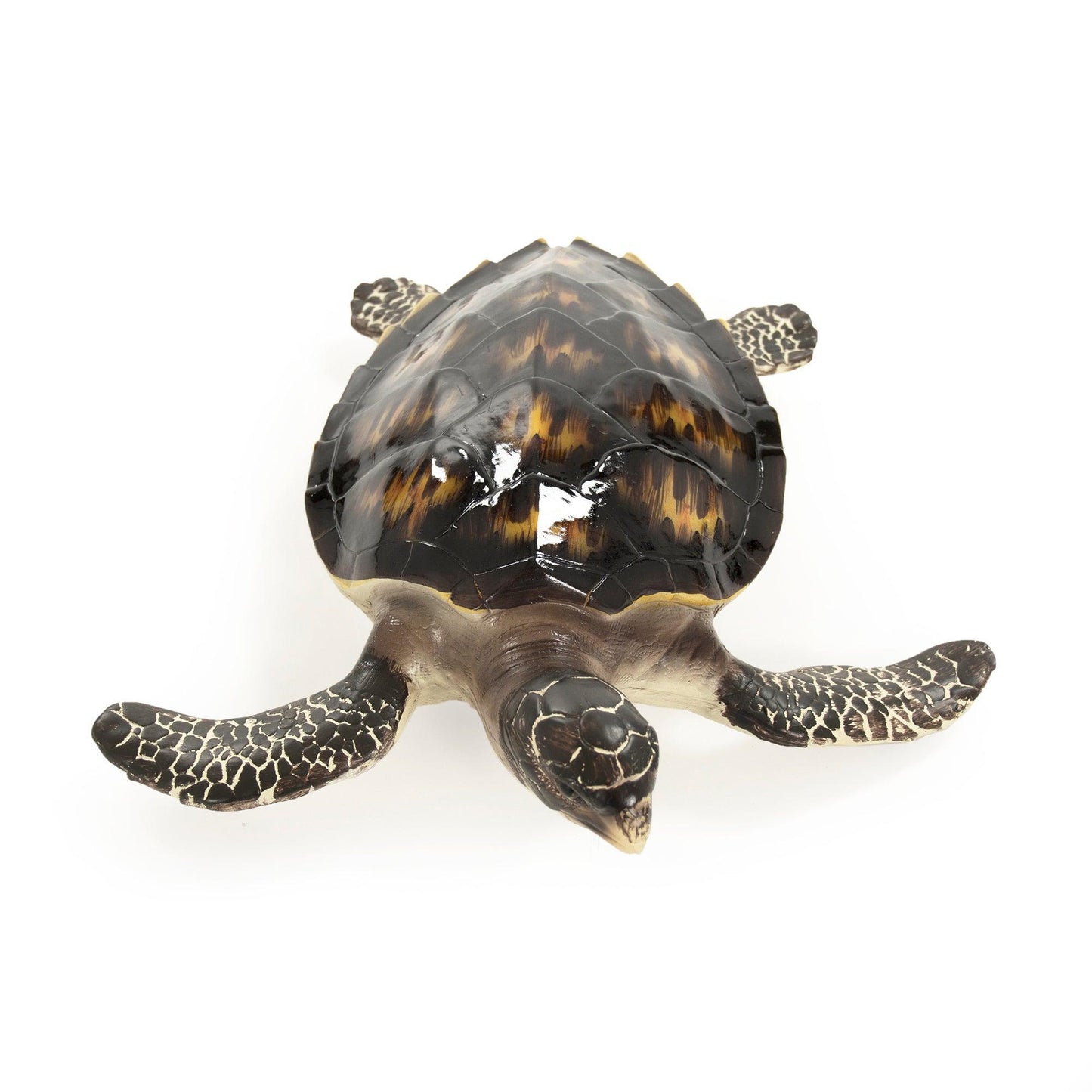 Sea Turtle Sculpture (L) SHI043 FredCo