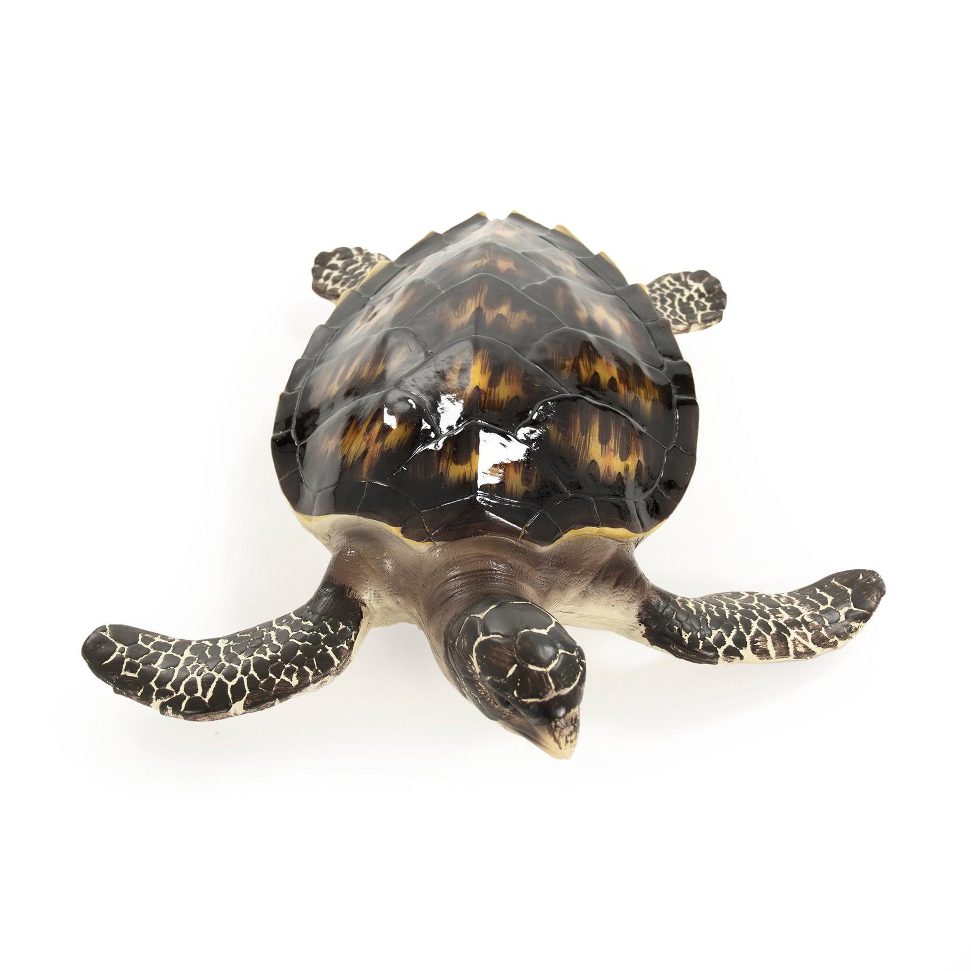 Sea Turtle Sculpture (L) SHI043 FredCo