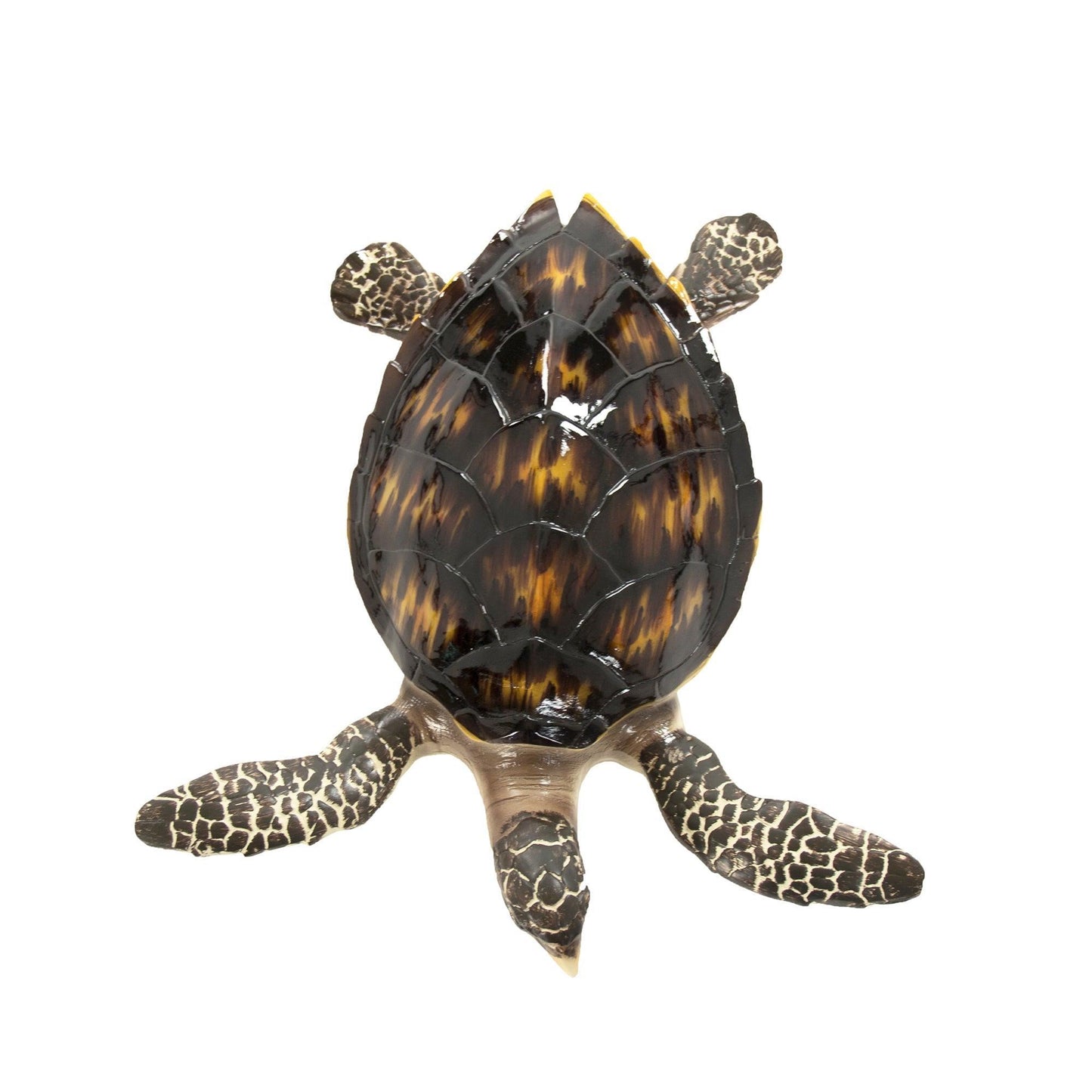 Sea Turtle Sculpture (M) SHI041 FredCo