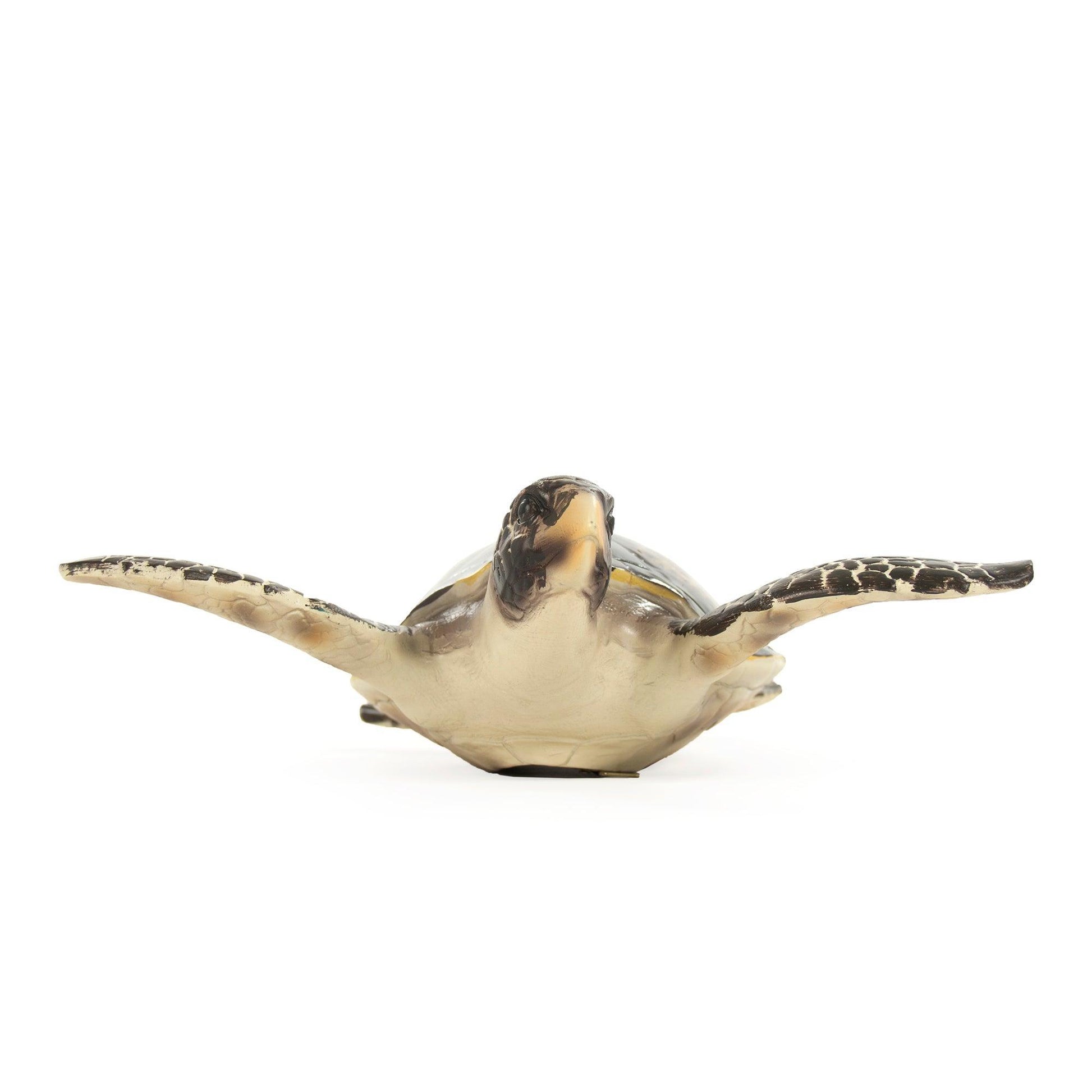 Sea Turtle Sculpture (M) SHI041 FredCo