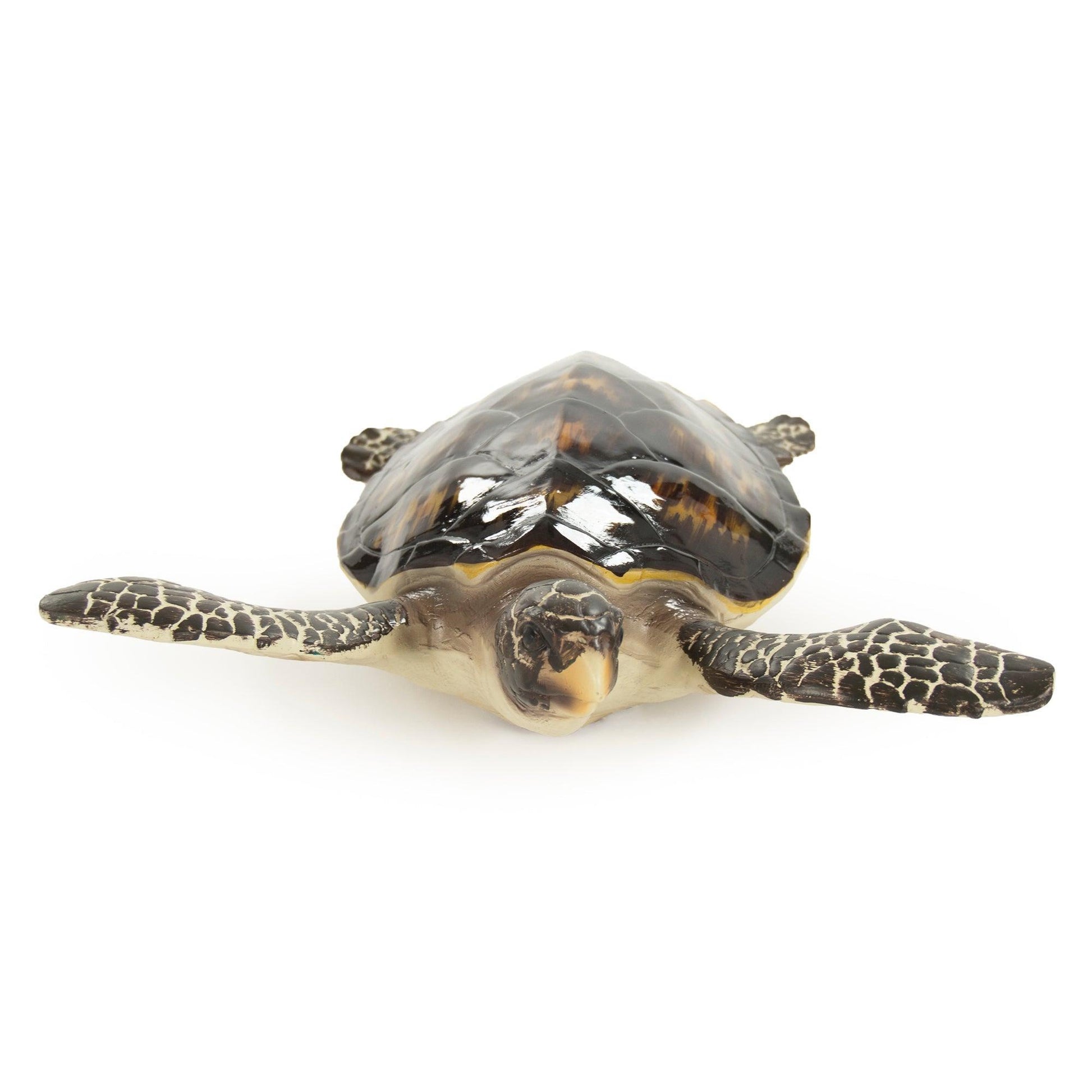 Sea Turtle Sculpture (M) SHI041 FredCo