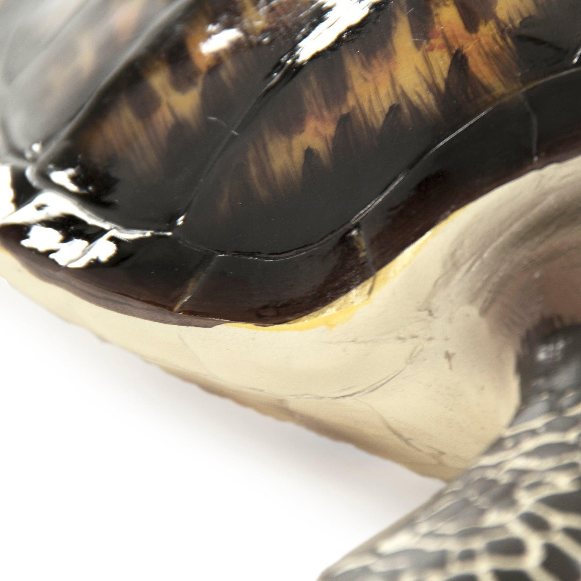 Sea Turtle Sculpture (S) SHI042 FredCo