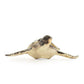 Sea Turtle Sculpture (S) SHI042 FredCo