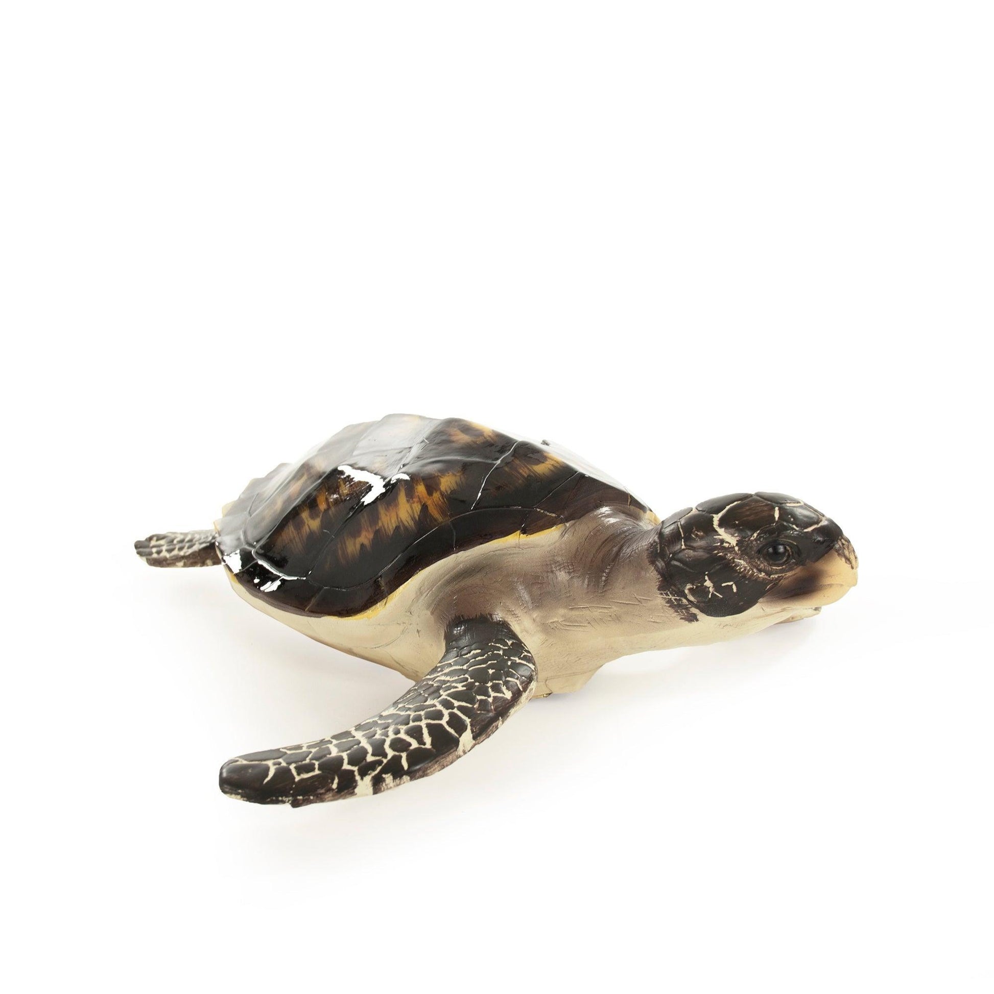Sea Turtle Sculpture (S) SHI042 FredCo