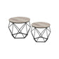 Set of 2 Nesting Tables Gray FredCo