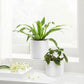 Set of 2 Plant Pots White FredCo