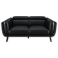 Shania 2-piece Track Arms Living Room Set Black 509921-S2 Coaster FredCo