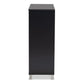 Shirley Modern and Contemporary Dark Grey Finished 2-Door Wood Shoe Storage Cabinet with Open Shelves FredCo
