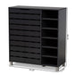 Shirley Modern and Contemporary Dark Grey Finished 2-Door Wood Shoe Storage Cabinet with Open Shelves FredCo
