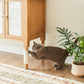 Sisal Rope for Cat Tree FredCo