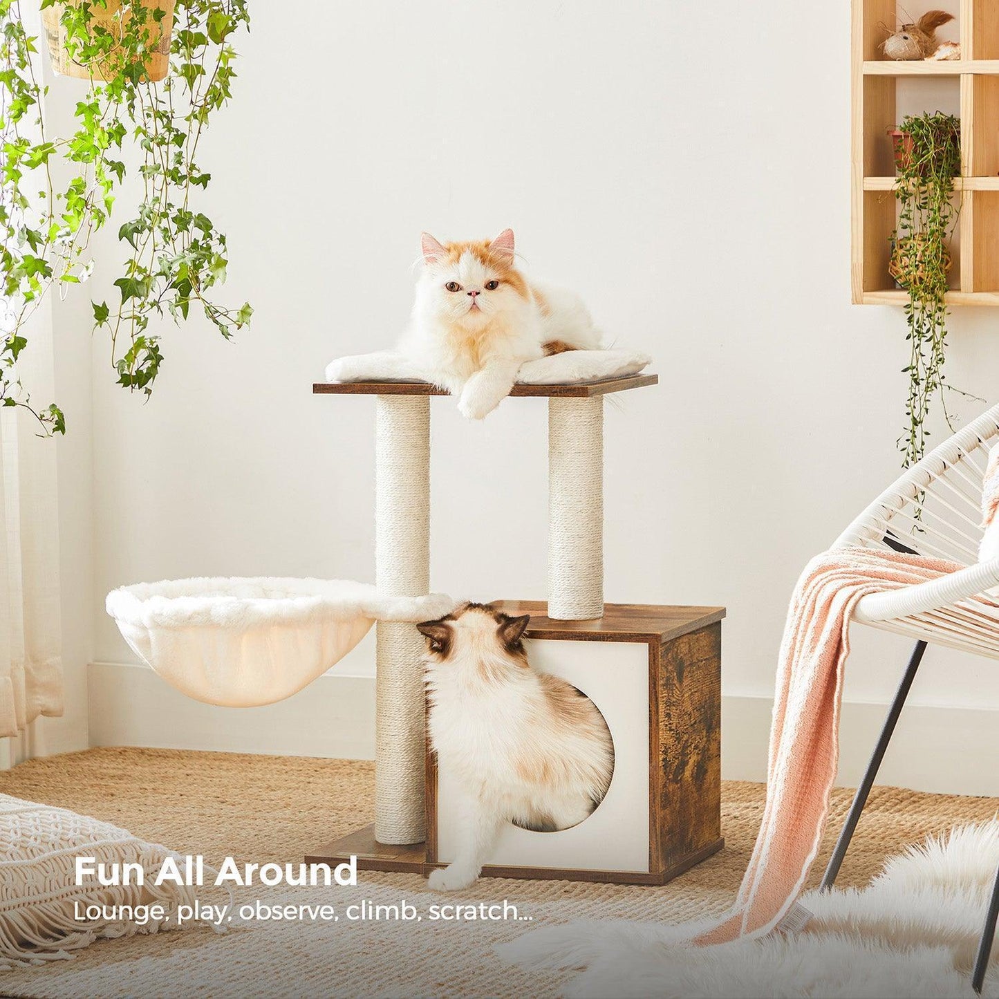 Small Cat Condo with Scratching Posts Brown FredCo