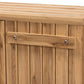 Sorina Modern and Contemporary Farmhouse Natural Oak Brown Finished Wood 2-Door Shoe Cabinet FredCo
