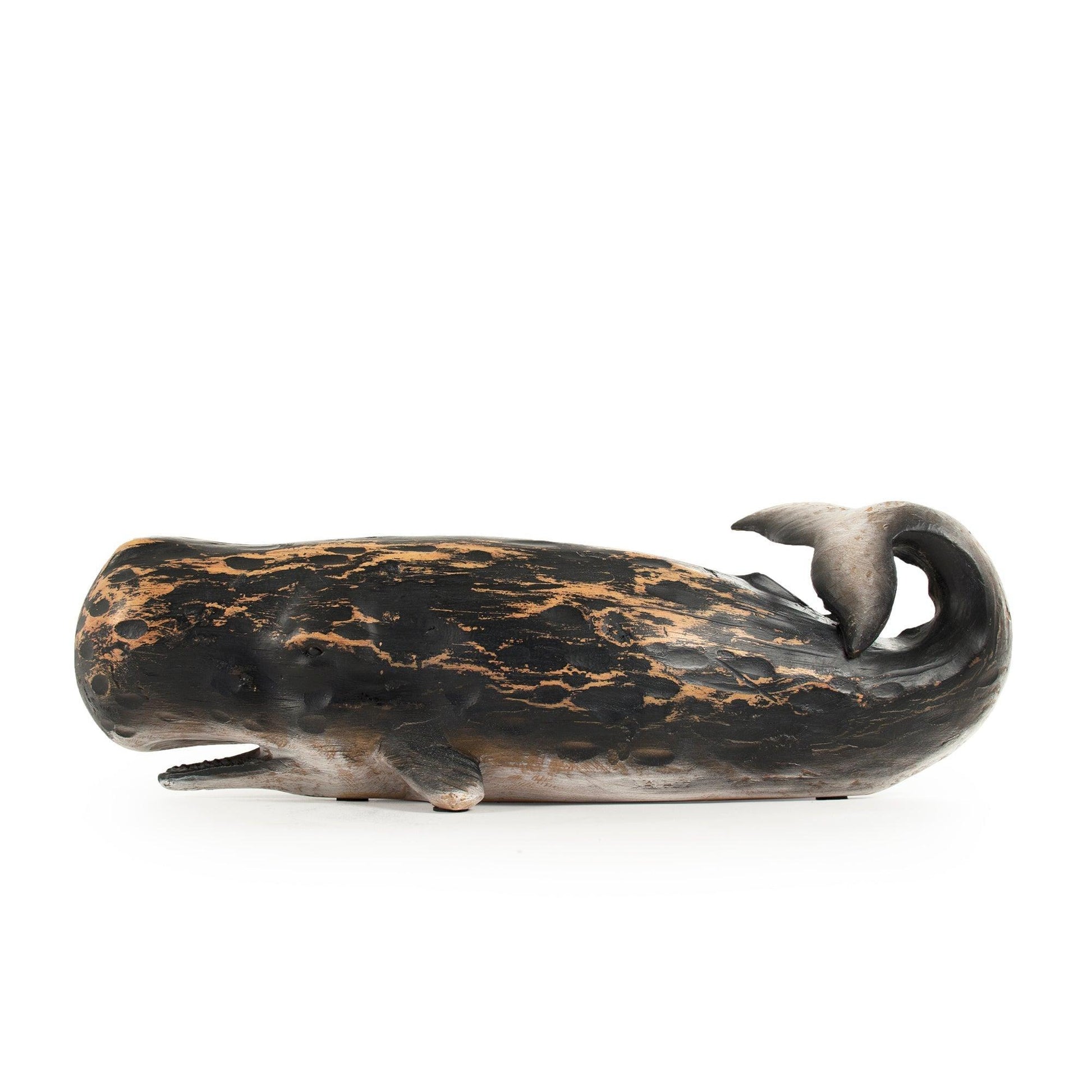 Sperm Whale Sculpture (M) SHI049 FredCo