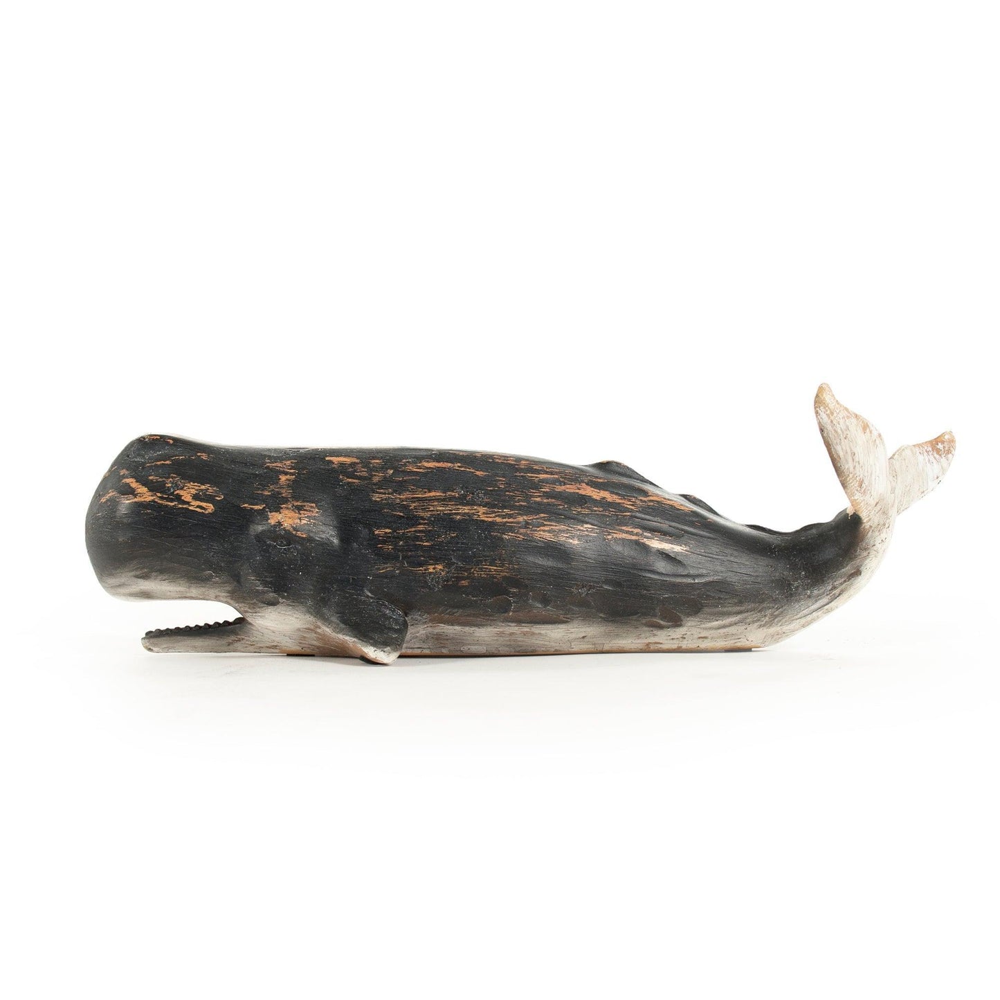 Sperm Whale Sculpture (S) SHI048 FredCo