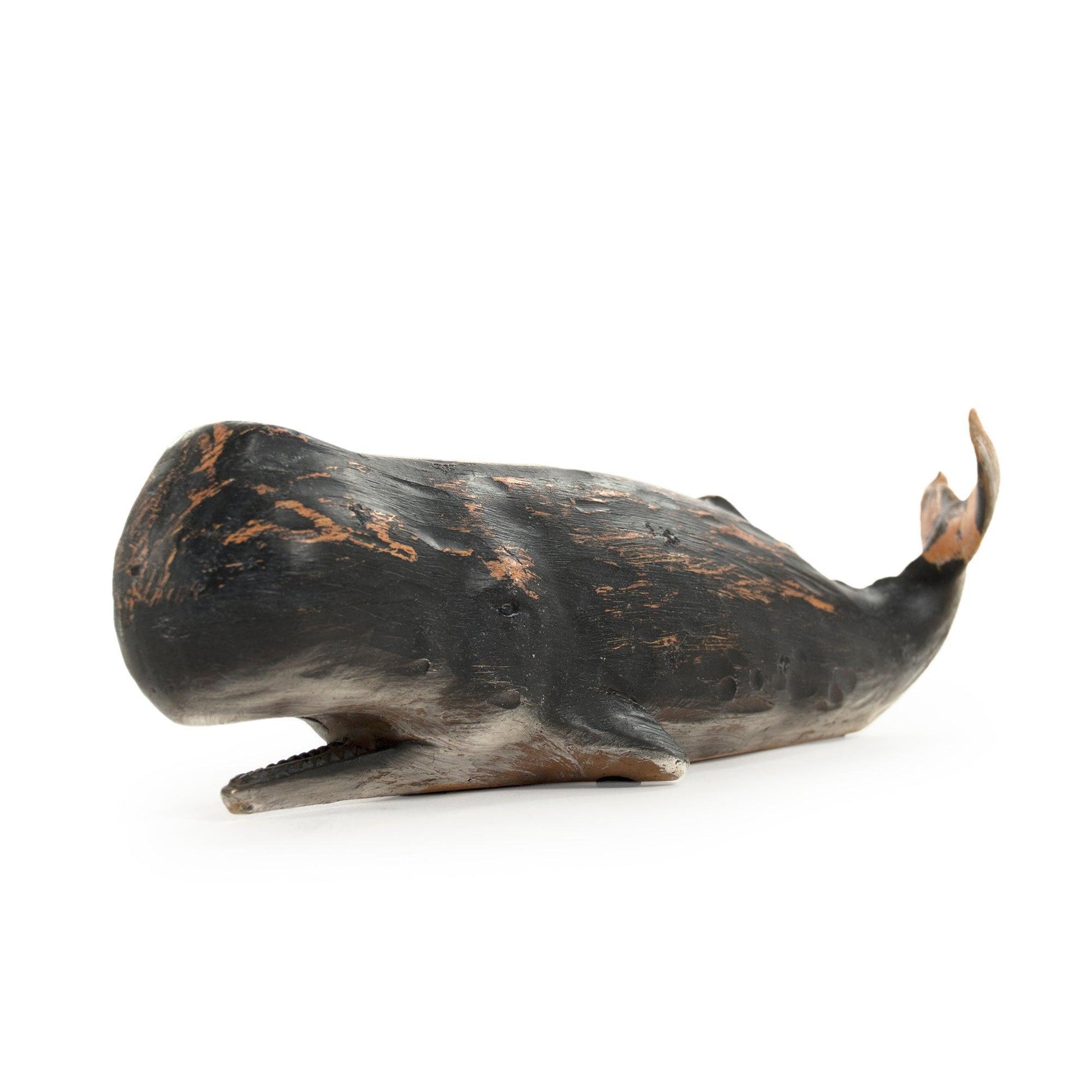 Sperm Whale Sculpture (S) SHI048 FredCo