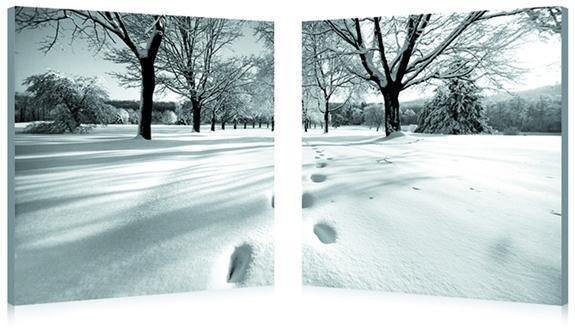 Telltale Trail Mounted Photography Print Diptych FredCo