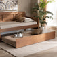 Toveli Modern and Contemporary Ash Walnut Finished Twin Size Trundle Bed FredCo