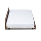 Toveli Modern and Contemporary Ash Walnut Finished Twin Size Trundle Bed FredCo