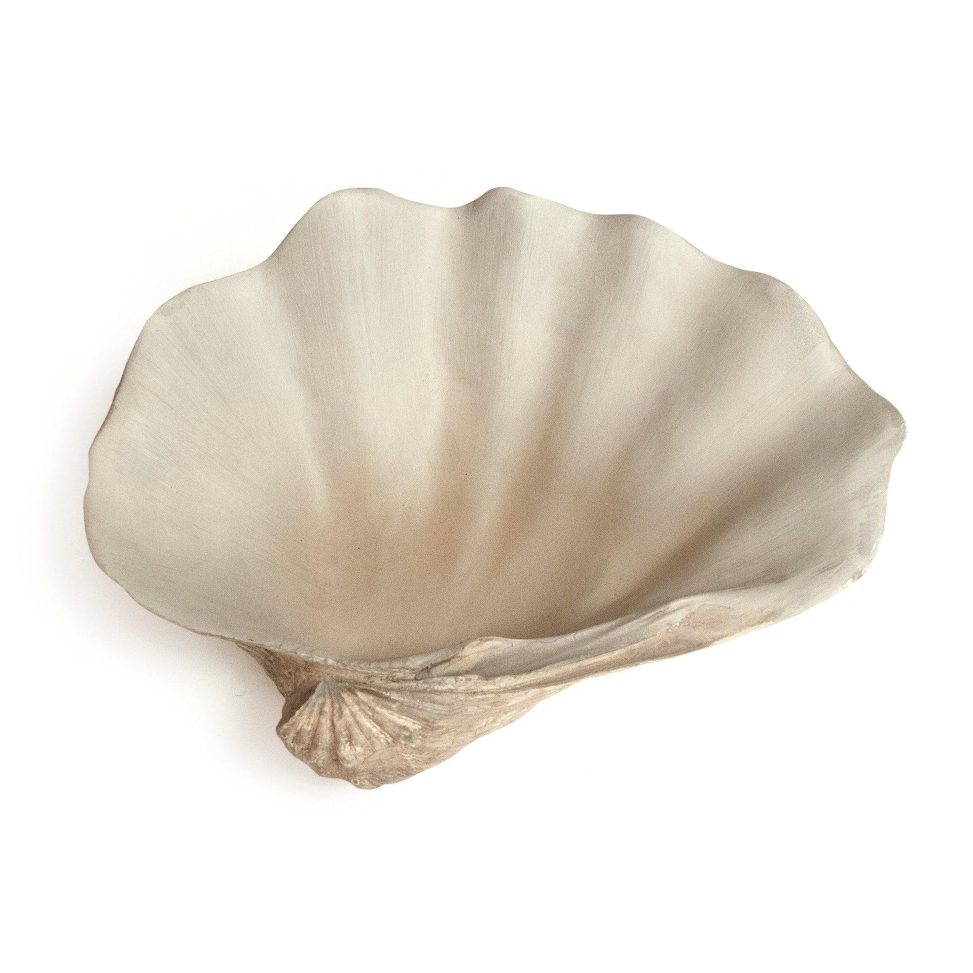 Tridacna Half Shell Bowl SHI056 FredCo