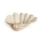 Tridacna Half Shell Bowl SHI056 FredCo