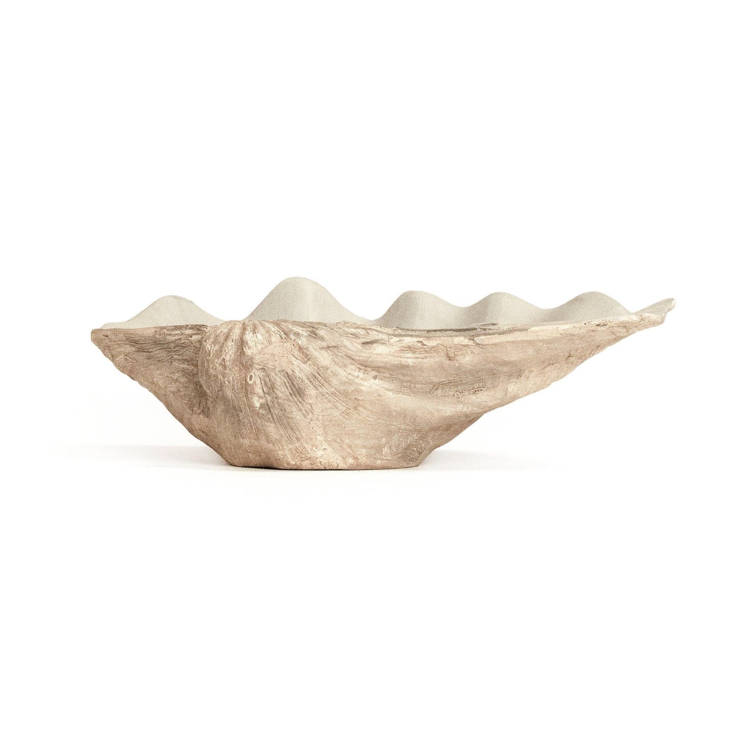 Tridacna Half Shell Bowl SHI056 FredCo