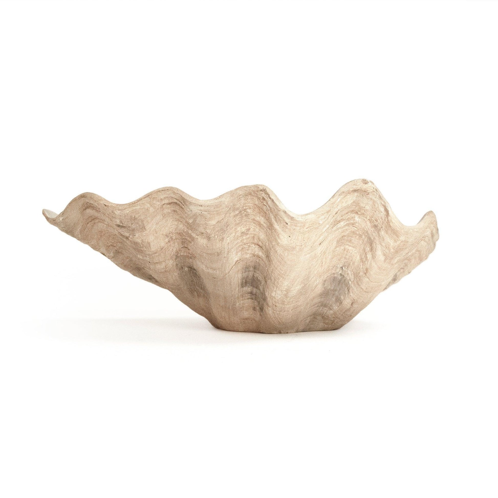 Tridacna Half Shell Bowl SHI056 FredCo