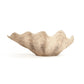 Tridacna Half Shell Bowl SHI056 FredCo