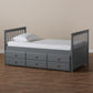 Trine Classic and Traditional Grey Finished Wood Twin Size Daybed with Trundle FredCo