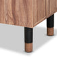 Valina Modern and Contemporary 2-Door Wood Entryway Shoe Storage Cabinet FredCo