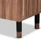 Valina Modern and Contemporary 2-Door Wood Entryway Shoe Storage Cabinet with Drawer FredCo