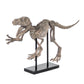Velociraptor Skeleton w/ Base SHI002 FredCo
