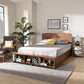 Vita Modern Transitional Ash Walnut Brown Finished Wood 4-Drawer Queen Size Platform Storage Bed FredCo