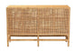 Vivan Modern Bohemian Natural Brown Rattan and Mahogany Wood Storage Cabinet FredCo