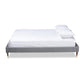 Volden Glam and Luxe Charcoal Velvet Fabric Upholstered King Size Wood Platform Bed Frame with Gold-Tone Leg Tips FredCo