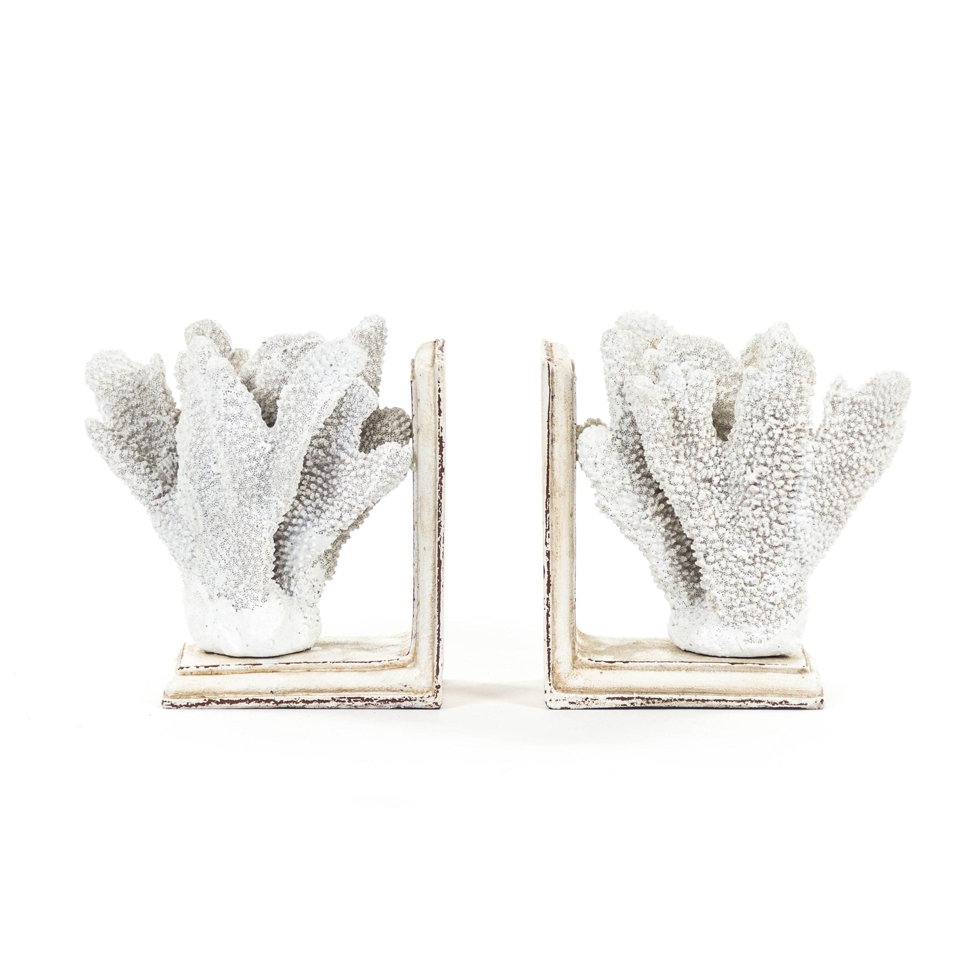 White Coral Bookends SHI024 FredCo