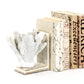 White Coral Bookends SHI024 FredCo