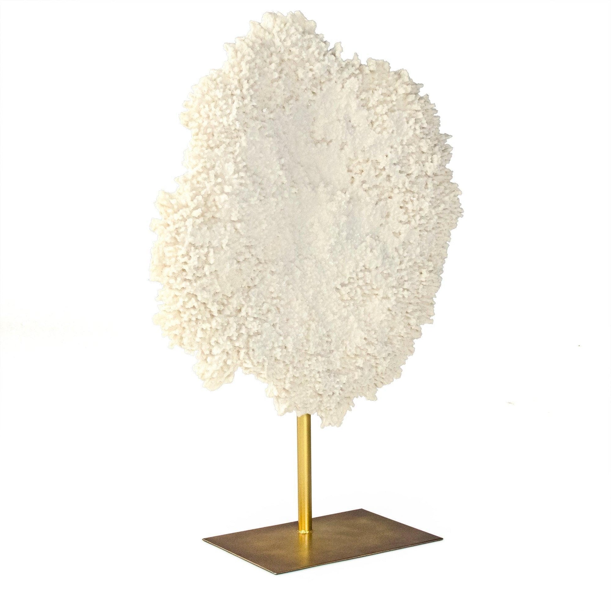 White Coral on Gold Base SHI055 FredCo