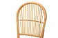 Wina Modern Bohemian Natural Brown Rattan 2-Piece Dining Chair Set FredCo